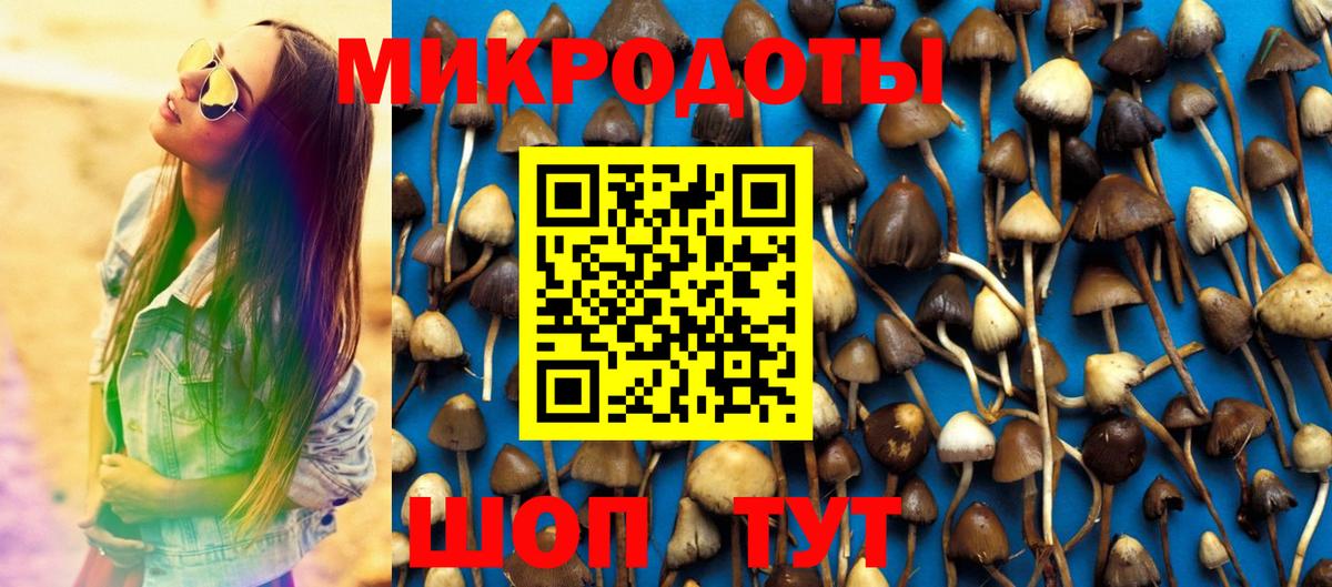 Нижнеудинск  Галлюциногенные грибы прущие грибы  где купить наркоту  Галлюциногенные грибы MAGIC MUSHROOMS  Вход с VPN 