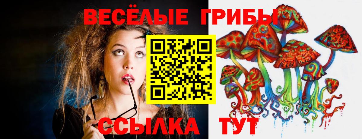 Псилоцибиновые грибы ЛСД Нижнеудинск